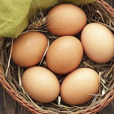Яйцо домашнее
