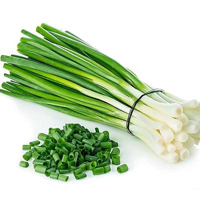 Лук зелёный