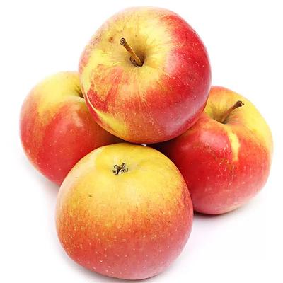 Айдаред яблоко