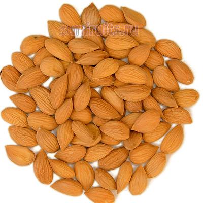 Косточка абрикоса