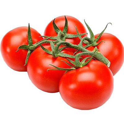 Помидоры на ветке