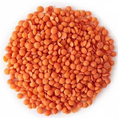 Чечевица красная